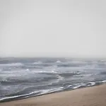 Ground Floor Apartment In Ostend Near The Sea
