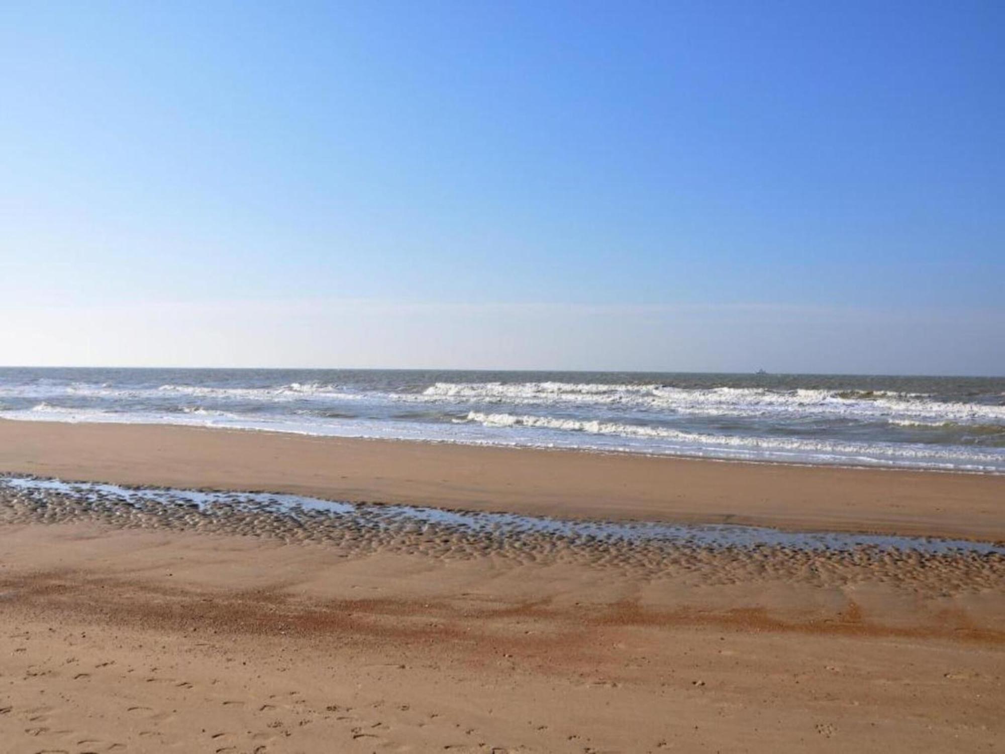 Ground Floor In Near The Sea Ostend